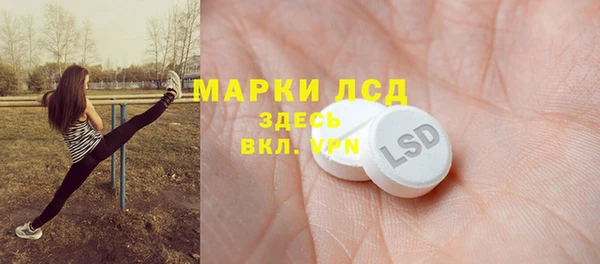 прущие грибы Приозерск