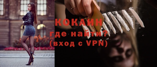 прущие грибы Приозерск