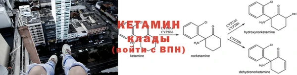 прущие грибы Приозерск