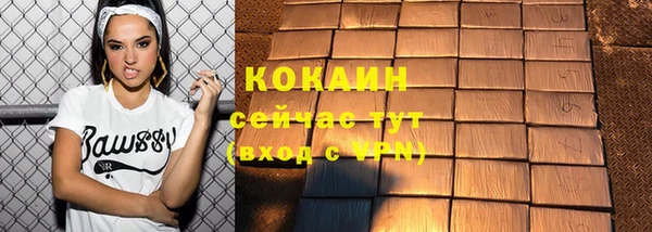 прущие грибы Приозерск