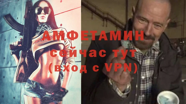 прущие грибы Приозерск