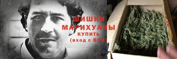 прущие грибы Приозерск