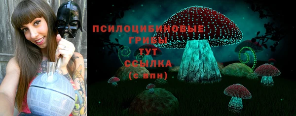 эйфоретик Протвино
