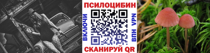 купить  сайты  Балахна  площадка Telegram  Галлюциногенные грибы GOLDEN TEACHER  мега вход 