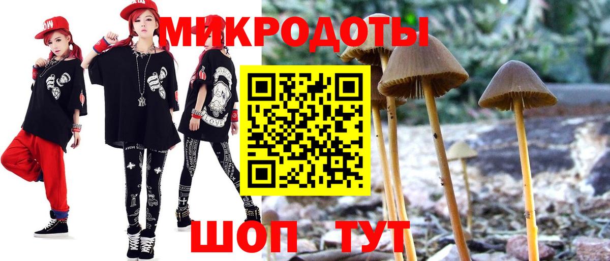 Псилоцибиновые грибы мицелий Балахна