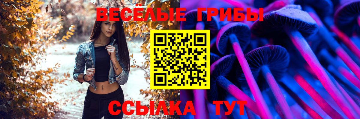 Балахна  Галлюциногенные грибы ЛСД  Галлюциногенные грибы прущие грибы  Вход с VPN 